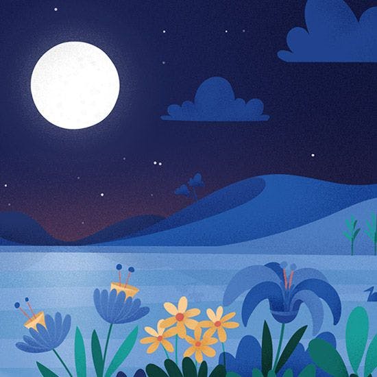 A Full Moon Meditation for the Flower Moon of May 26th