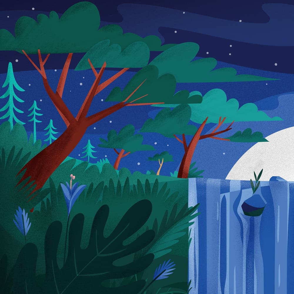 Night Jungle Yoga Nidra