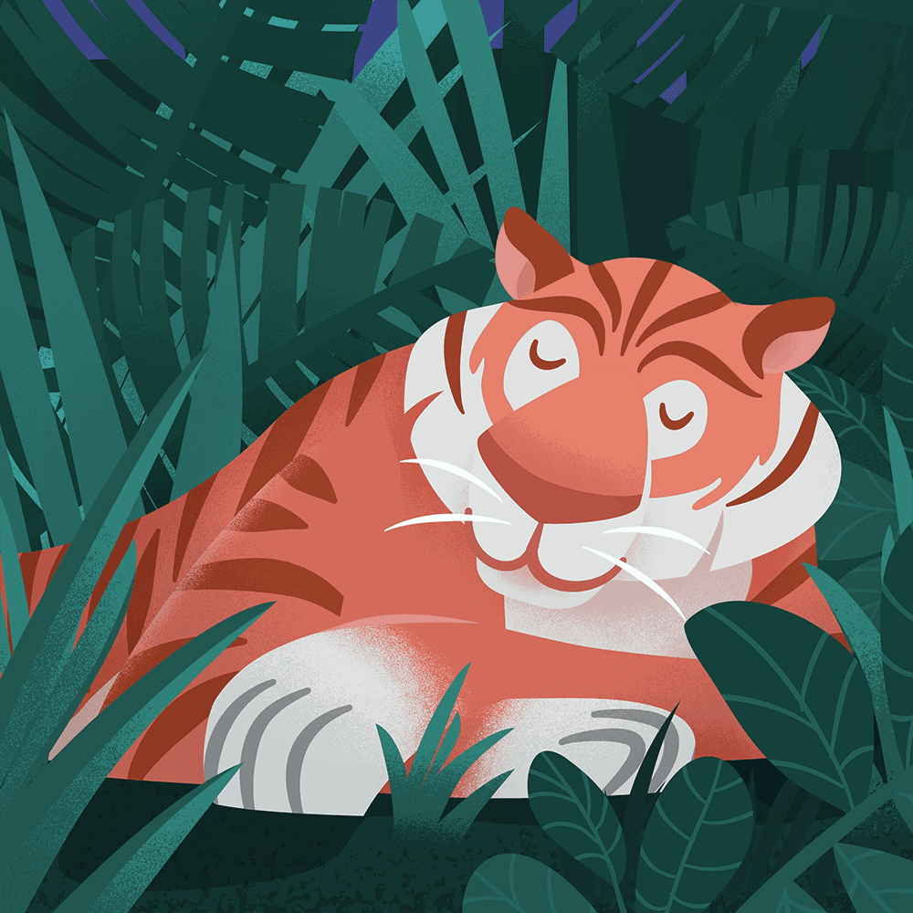 An Evening Jungle Walk